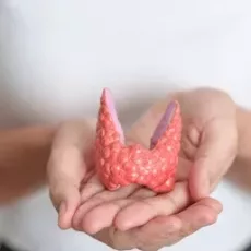 hypothyroide